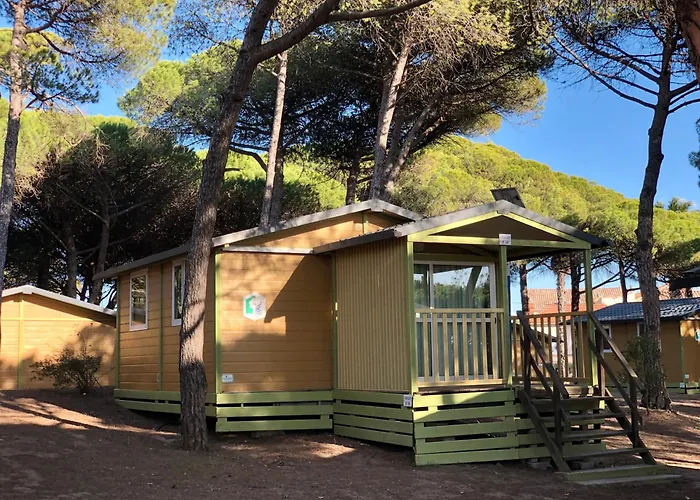 Camping la Tamarissière