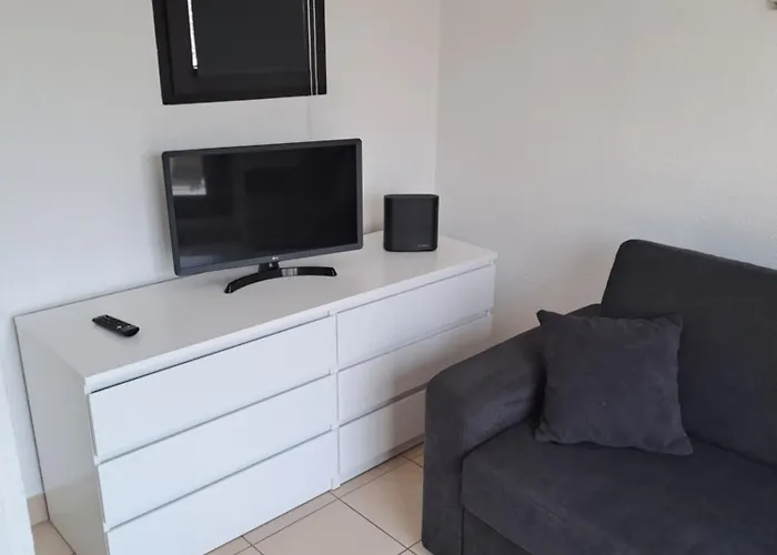STUDIO CLIMATISE box 5 G Résidence Odalys Saint Loup, piscine ,parking privé et superette 25
